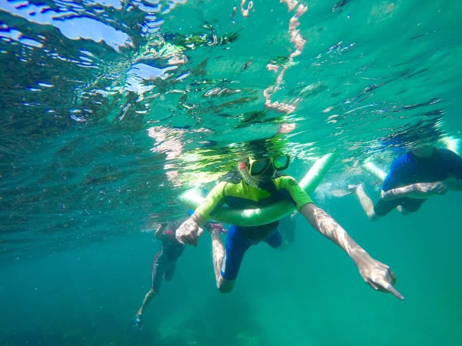 Sydney: Manly and Shelly Beach Snorkeling Tour - The $77 value: where the money actually goes