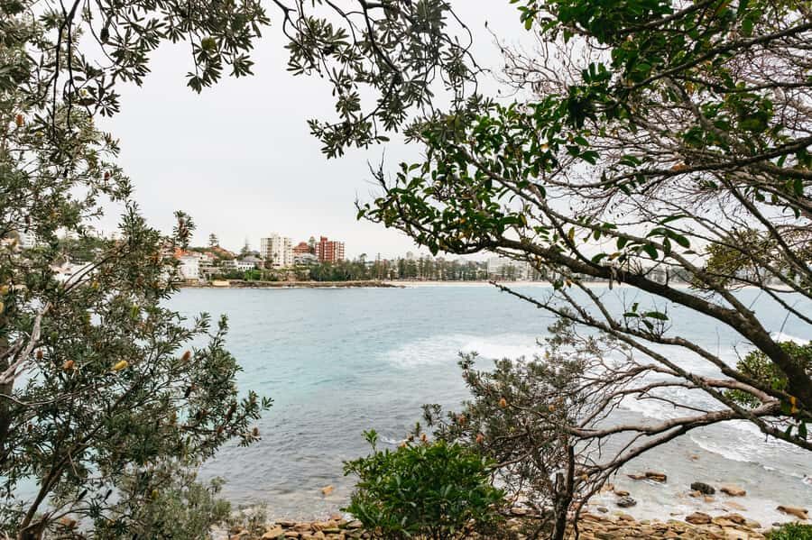 Sydney: Manly and Shelly Beach Snorkeling Tour - Wildlife spotting: what you’ll likely see (and how guides help you notice it)