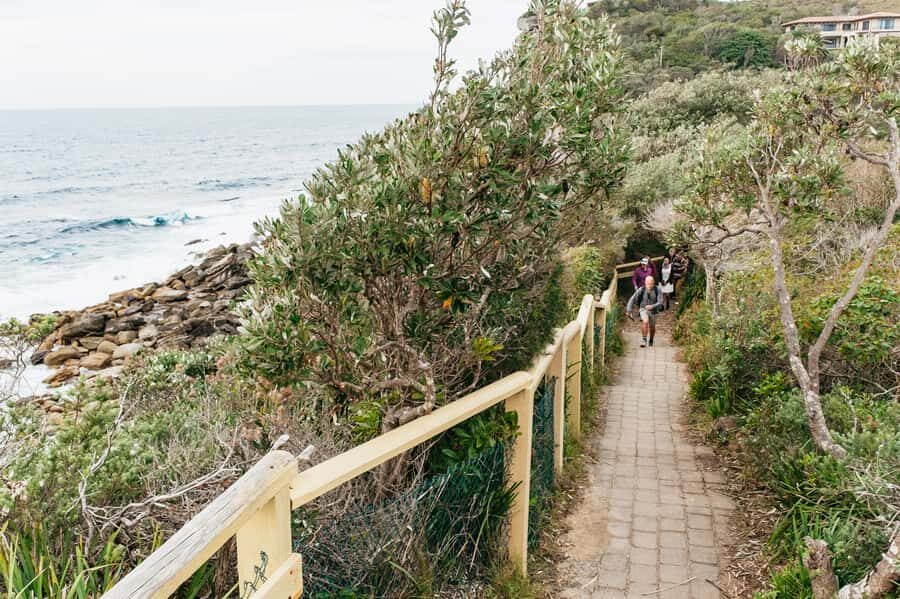 Sydney: Manly and Shelly Beach Snorkeling Tour - Conditions and temperature: why wetsuits matter more than you think