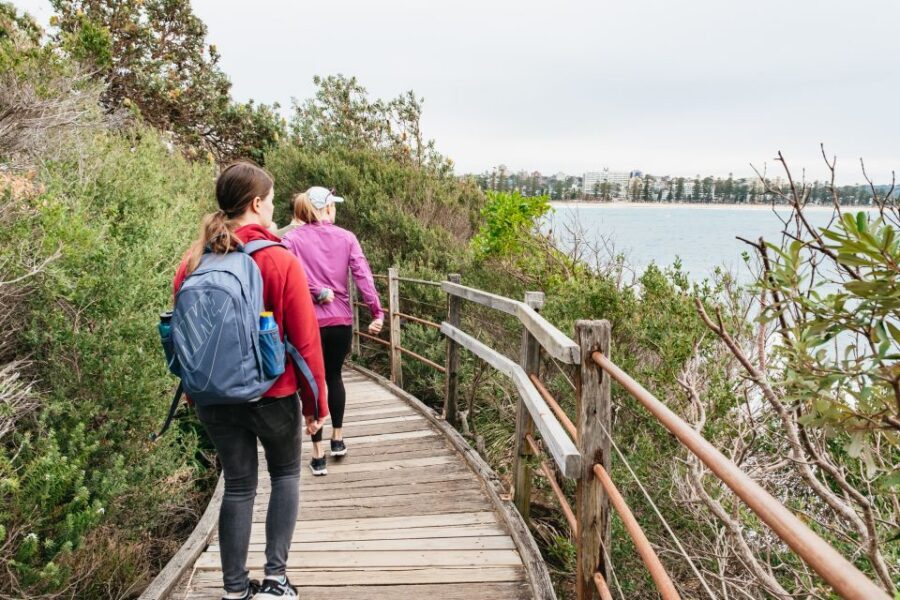 Sydney: Manly and Shelly Beach Snorkeling Tour - Who this tour fits best, and who should skip it