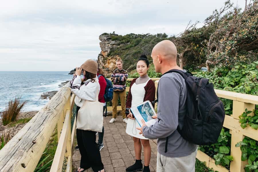 Sydney: Manly and Shelly Beach Snorkeling Tour - Price and logistics in real life: time, small groups, and meeting point clarity