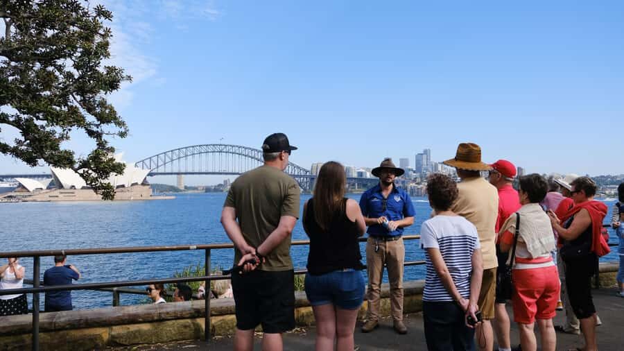 Sydney: Morning Sightseeing Bus to Bondi with Lunch Cruise - Circular Quay lunch cruise: the best payoff for the schedule