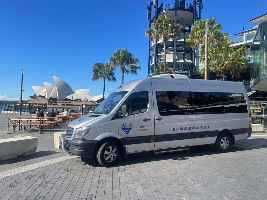 Sydney: Morning Sightseeing Bus to Bondi with Lunch Cruise - Price and value at $174 per person
