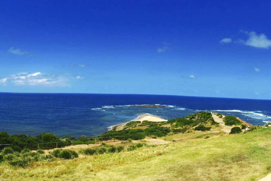 Sydney: Northern Beaches and Ku-ring-gai National Park Tour - Narrabeen Beach and Long Reef headland: surf views and whale-spotting chances