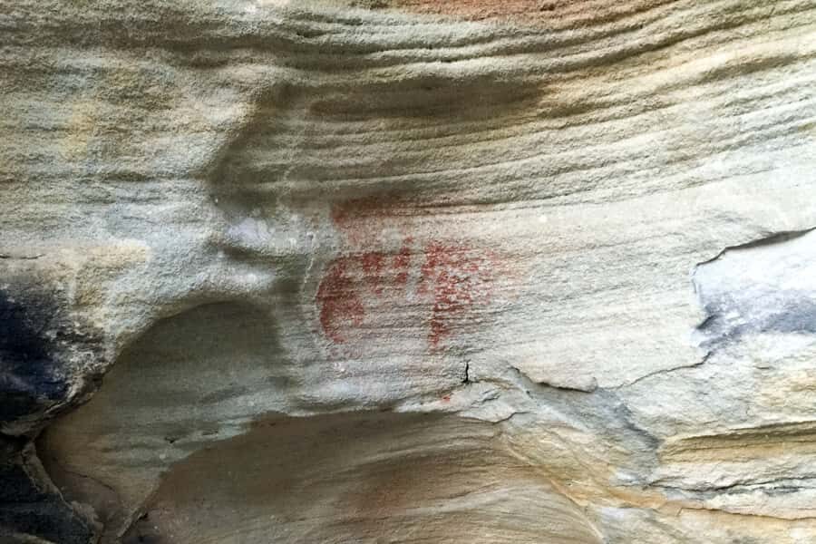 Sydney: Northern Beaches and Ku-ring-gai National Park Tour - Price and value: is $300 worth it for a 7-hour day?