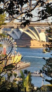 Sydney: Opera & Harbour Bridge Small-Group Kayak Tour - Meeting at Top Sydney Kayak in Lavender Bay (Quibaree Park)