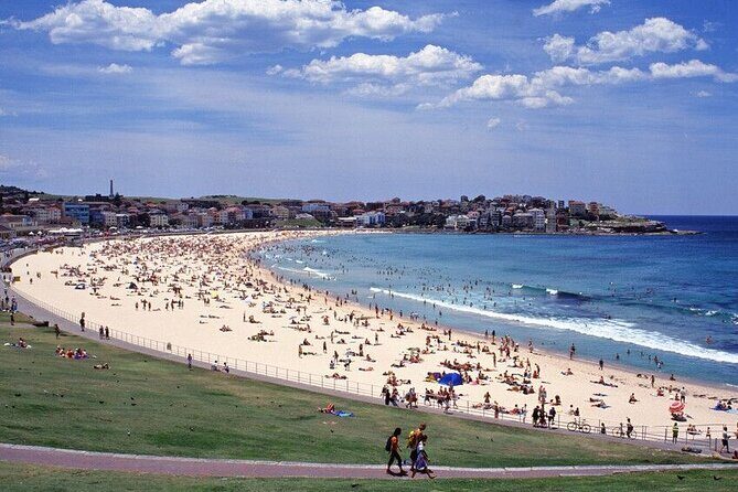 Sydney Port Private Departure Transfer: City Hotel to Cruise Port - Group Size, Comfort, and Getting Loaded Fast