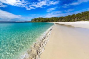 Sydney: Port Stephens Day Trip with Dolphin Cruise or Hike - Nelson Bay lunch break: a seaside reset before the big choice