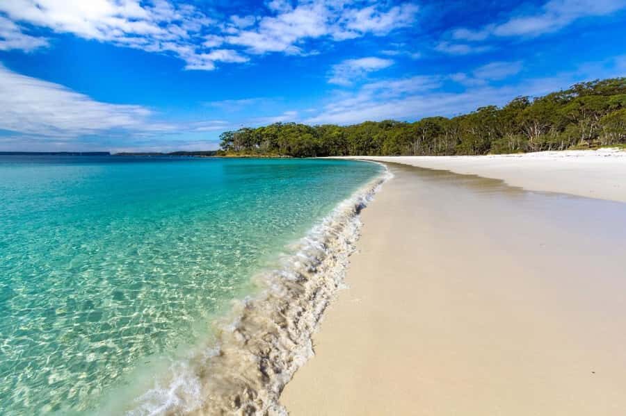 Sydney: Port Stephens Day Trip with Dolphin Cruise or Hike - Nelson Bay lunch break: a seaside reset before the big choice