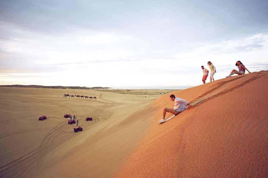Sydney: Port Stephens Dolphin Cruise & Sandboarding Day Trip - Key highlights you’ll actually feel