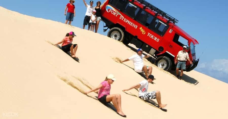 Sydney: Port Stephens Dolphin Cruise & Sandboarding Day Trip - PS Koala Sanctuary: Story Walk and Skywalk in real treetops