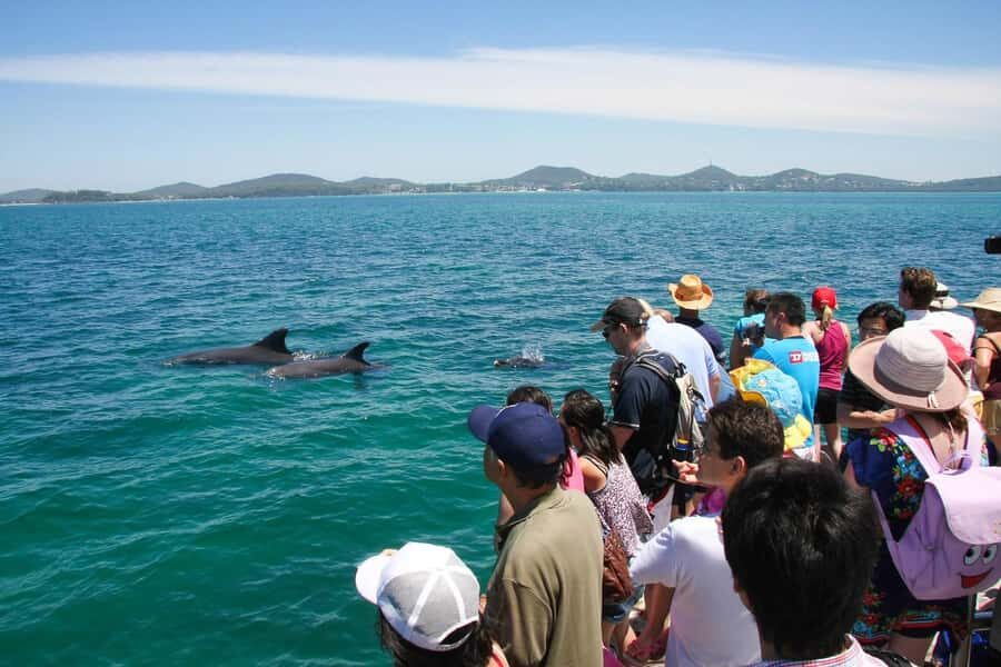 Sydney: Port Stephens Dolphin Cruise & Sandboarding Day Trip - How the guide shapes the whole day (Gordon, Alfie, Yan, Chen)
