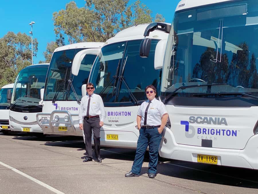 Sydney: Port Stephens Dolphin Cruise & Sandboarding Day Trip - Price and value: is $145 actually fair?