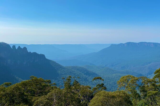 Sydney: PRIVATE Blue Mountains, Wildlife & Cruise Luxe Tour (10h) - Wildlife Park Time: Koalas, Kangaroos, and Wombat Encounters