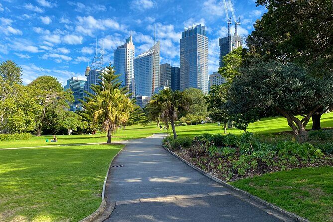 Sydney: PRIVATE City Highlights & Ocean Front Luxe Tour (4h) - Darling Harbour and the Paddington-to-Darlinghurst story