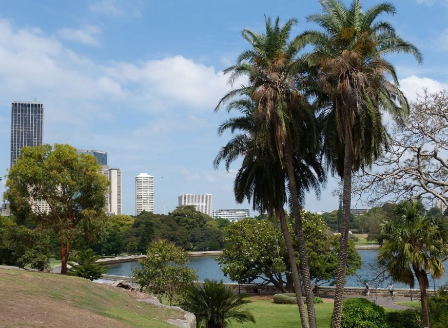 Sydney Private & Custom Walking Experience with a Local - Food and Coffee Tips That Actually Help Between Stops