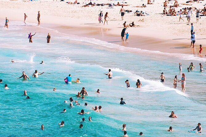 Sydney Private Full-Day Tour: Opera House, Bondi Beach & Secrets - Manly harbour day: Felons Brewing Co. and North Head Sanctuary
