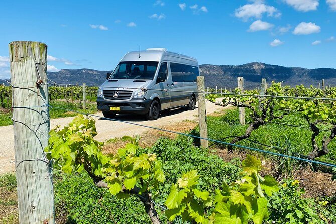 Sydney: PRIVATE Hunter Valley Wine Tasting Luxe Tour (10h) - Price and value: what you’re really paying for at $793.27 per person