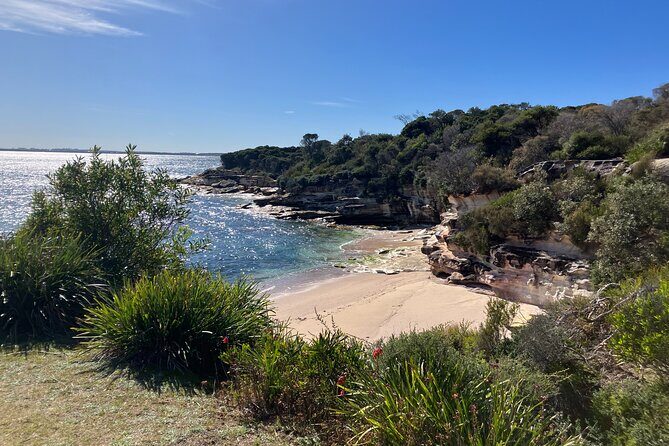 Sydney Private Tour Inc The Royal National Park and Symbio Zoo - Stop 5: Symbio Wildlife Park for Koalas and Kangaroo Feeding