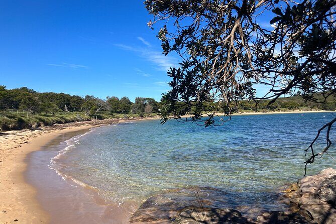 Sydney Private Tour Inc The Royal National Park and Symbio Zoo - Stop 6: Sea Cliff Bridge for a Coastal Stroll With Star-Studded Looks