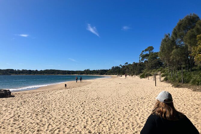Sydney Private Tour Inc The Royal National Park and Symbio Zoo - How Paul Makes It Feel Like Your Day, Not a Script