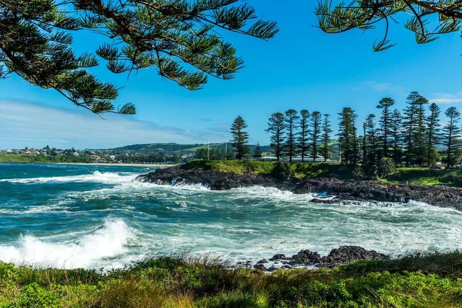 Sydney: Sea Cliff Bridge, Kiama Blowhole and Farmlands Tour - Remote beaches, coastal lookouts, and wildlife-spotting that feels built-in