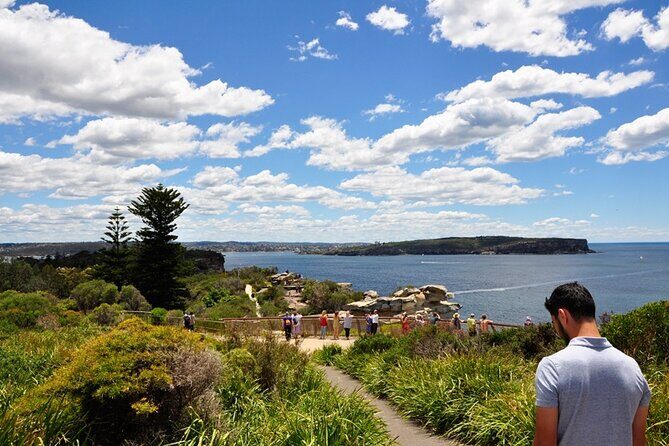 Sydney Sightseeing Bus Tour with Local Guide - Why This Sydney Bus Tour Works: Comfort and Photo Stops Without the Grind