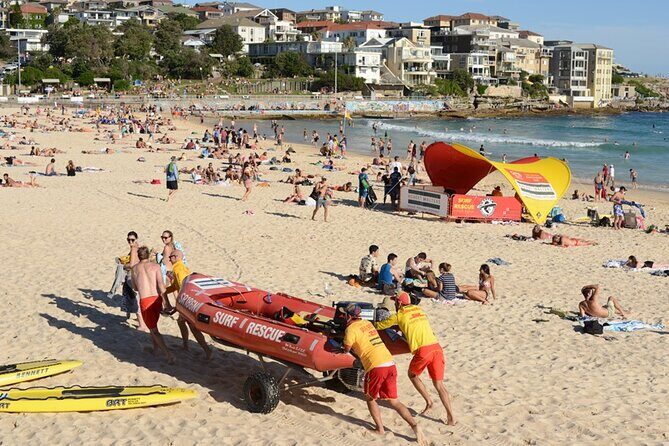 Sydney Sightseeing Bus Tour with Local Guide - Price and Value at About $35.14: What You’re Getting for Half a Day