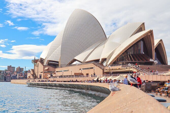 Sydney Six Beaches Trike Tour - What it’s like on the road: safety, speed, and “private” in practice