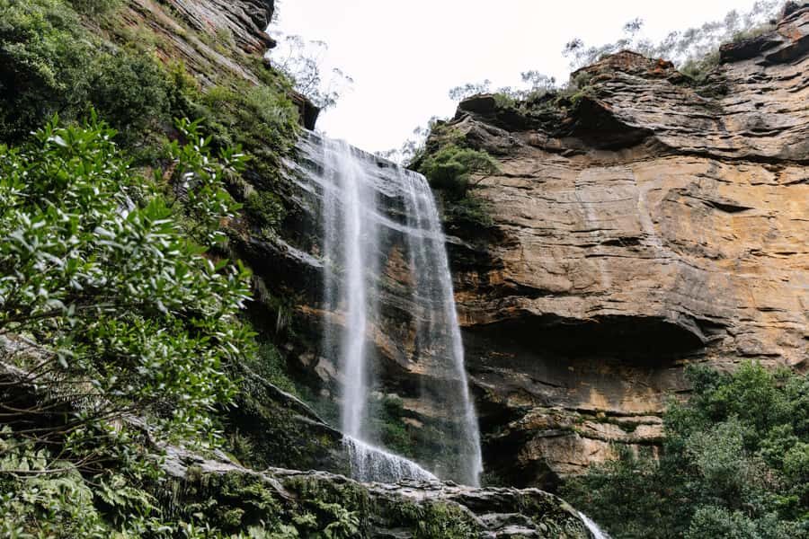 Sydney: Small Group Blue Mountains, Wildlife & Waterfalls - A tight 10-hour loop from Sydney’s central pick-up points