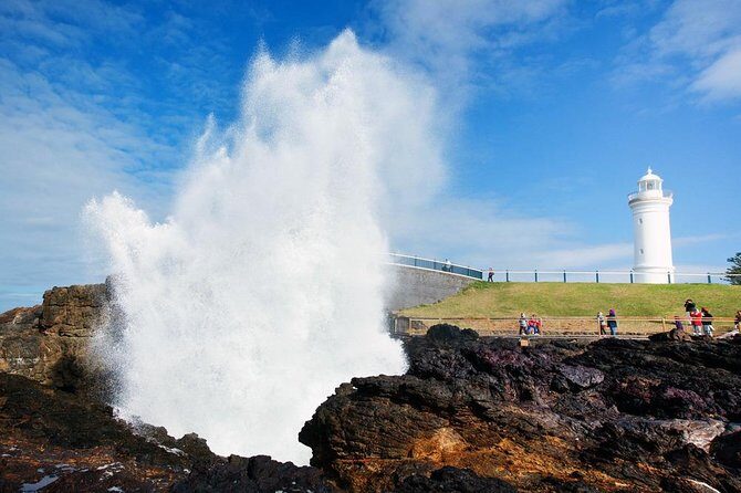 Sydney South Coast to Country Private Tour | Grand Pacific Drive - Price and Logistics: What $494.90 Covers (and What You Still Pay For)