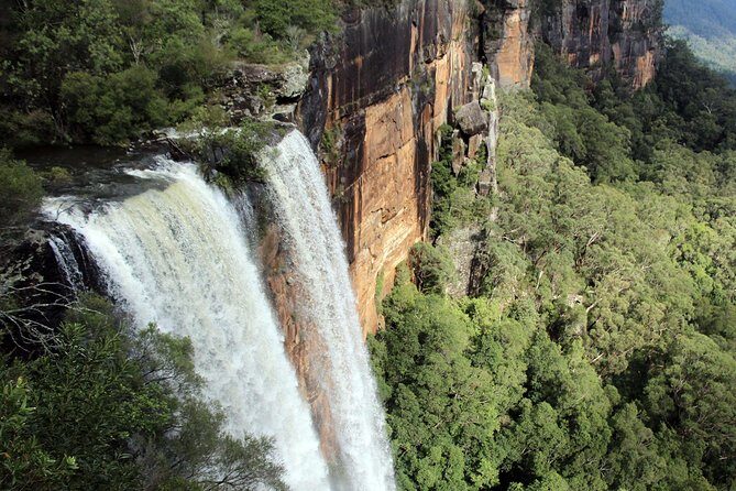Sydney South Coast to Country Private Tour | Grand Pacific Drive - The Guide-Driver Factor: Why This Tour Feels Personal