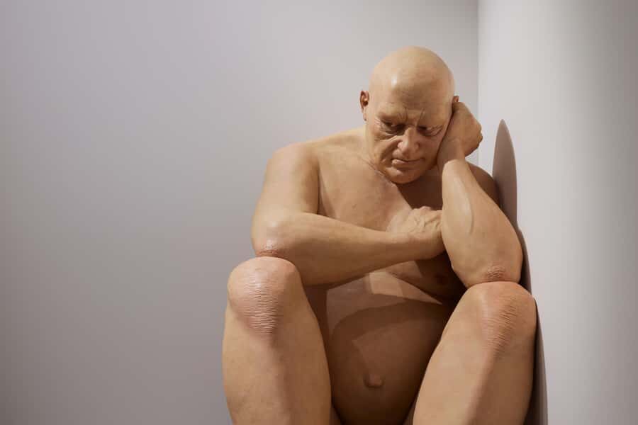 Sydney Summer Art Exhibitions Art Gallery of New South Wales - Price and value: what $24 really buys you (and when to upgrade)