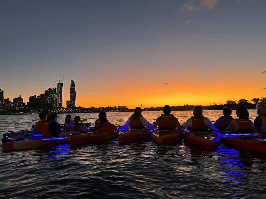 Sydney: Sunset Kayak Tour on Sydney Harbour - Quick hits you’ll feel right away
