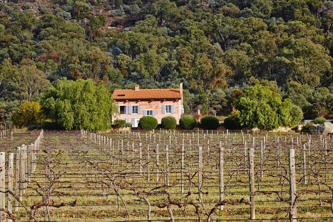 Sydney to Hunter Valley Wine Tour | Gin, Lunch, Chocolatier Visit - Stop 2: Tinonee Vineyard Estate at 1813 and a Cooler-Climate Cellar Door Feel