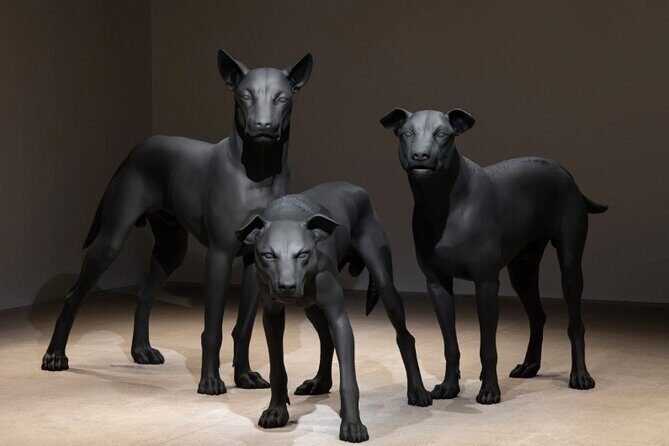 Sydney: Tours & Exhibitions at Art Gallery of New South Wales - Who should book this Art Gallery NSW experience?