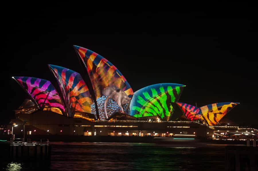 Sydney: Vivid Festival of Light Harbor Cruise with Dinner - What the 90 minutes look like on the water