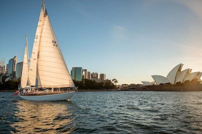 Sydney Whale Watching - 2.5hr Discovery Cruise - Who should book this whale watching cruise