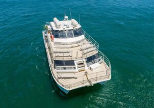 Sydney: Whale Watching Adventure Cruise - The catamaran ride to the whales: timing, motion, and comfort