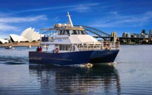 Sydney: Whale Watching Adventure Cruise - Whales Guaranteed! - Getting settled on Barefoot Blue: comfort, views, and real-world motion
