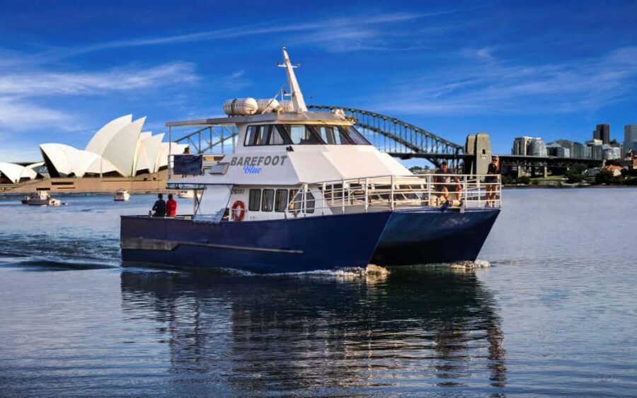Sydney: Whale Watching Adventure Cruise - Whales Guaranteed! - Getting settled on Barefoot Blue: comfort, views, and real-world motion