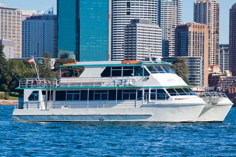 Sydney Whale Watching Cruise with Breakfast or Lunch - Seasickness reality check: how to keep the day enjoyable