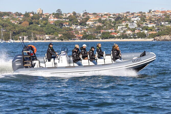 Sydney Whale Watching on Small RIB - Key highlights that matter on the water
