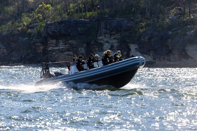 Sydney Whale Watching on Small RIB - Entering Sydney Harbor: Circular Quay departures and quick landmark time