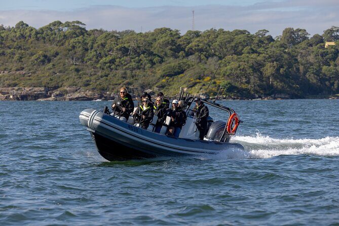 Sydney Whale Watching on Small RIB - Whale Watching Search Area: what you’re looking for, and why it’s exciting