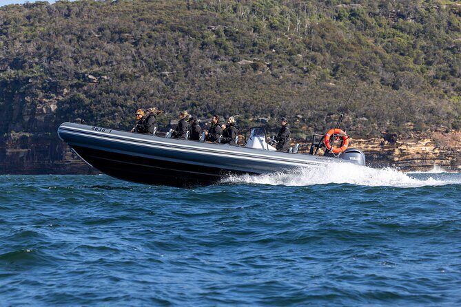 Sydney Whale Watching on Small RIB - What “stay longer” looks like when the whales show up