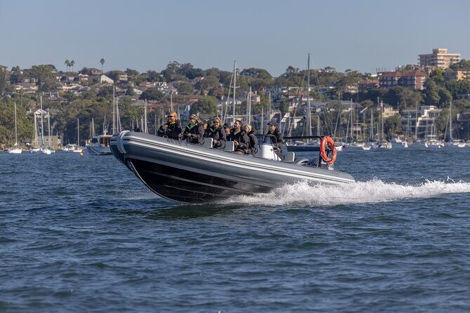 Sydney Whale Watching on Small RIB - Returning fast: Sydney Heads, cliffs, and harbor views on the way back