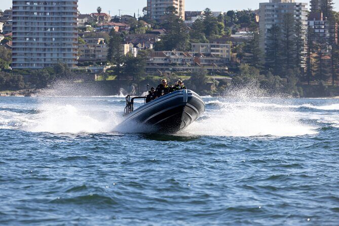 Sydney Whale Watching on Small RIB - Comfort on a small RIB: speed, closeness, and a smooth ride (when conditions cooperate)