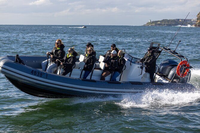 Sydney Whale Watching on Small RIB - Why $98.93 can be fair value for this kind of whale watch