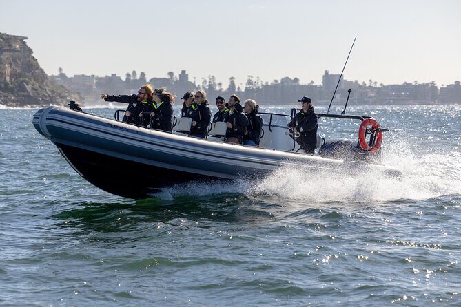 Sydney Whale Watching on Small RIB - Who this small RIB whale watch is best for